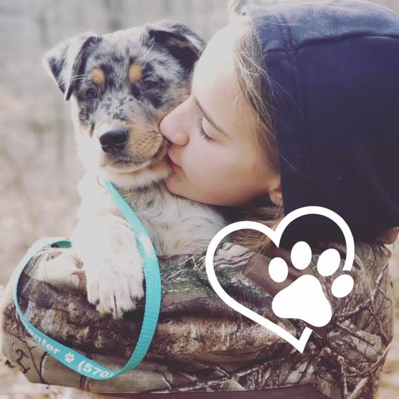 Meet your Posher, Taylor - Picture 1 of 1